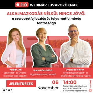 Alkalmazkodás nélkül nincs jövő: miért kulcskérdés a szervezetfejlesztés és saját folyamataid mély ismerete?